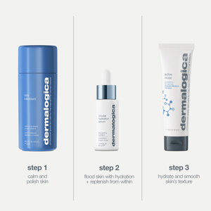 Dermalogica Smooth and Hydrate Set